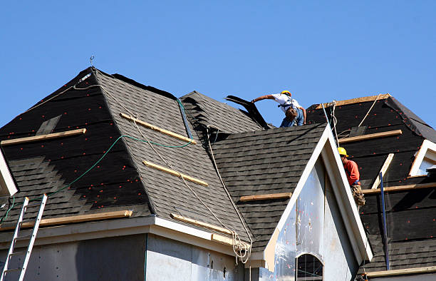 Best Roof Gutter Cleaning  in Fort Pierce North, FL
