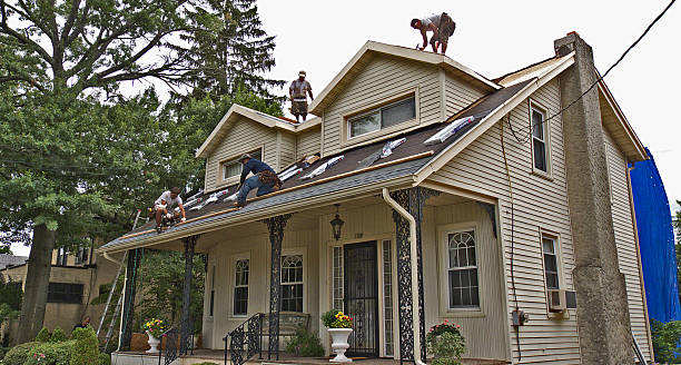 Best Storm Damage Roof Repair  in Fort Pierce North, FL